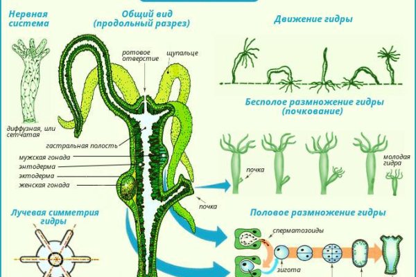 Onion сайт кракен