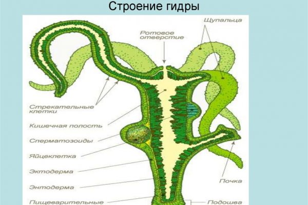 Украли аккаунт на кракене даркнет