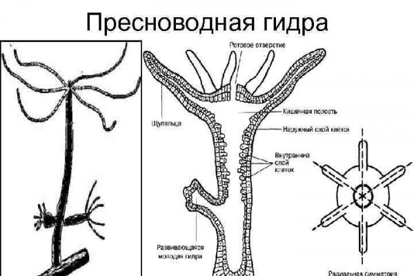 Зеркало вход кракен