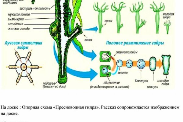 Кракен маркет плейс